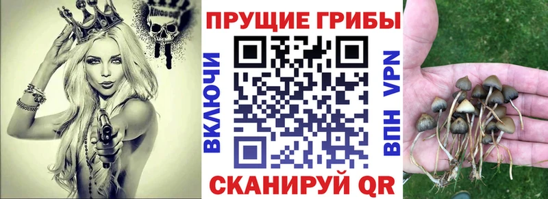 Галлюциногенные грибы Magic Shrooms  Купить где  Орлов 